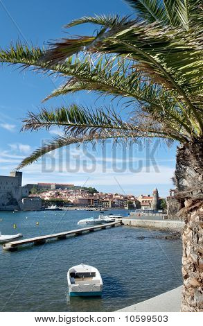 Collioure