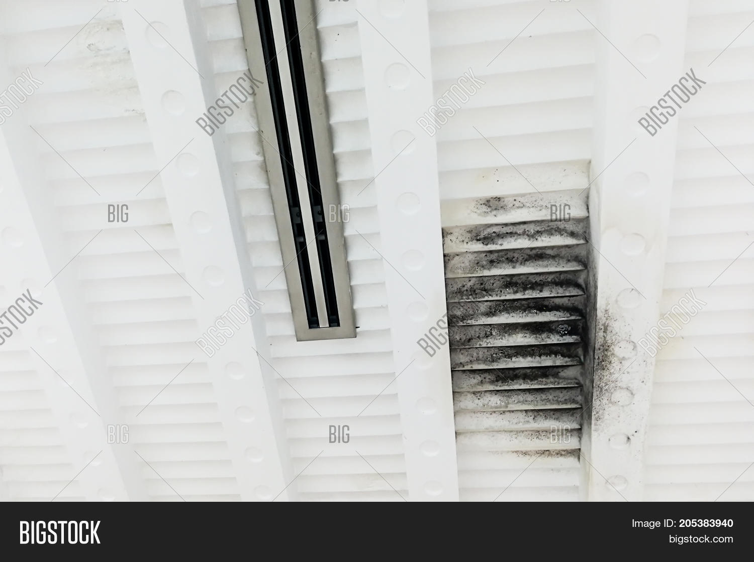 Unhygienic Ugly Moldy Image Photo Free Trial Bigstock