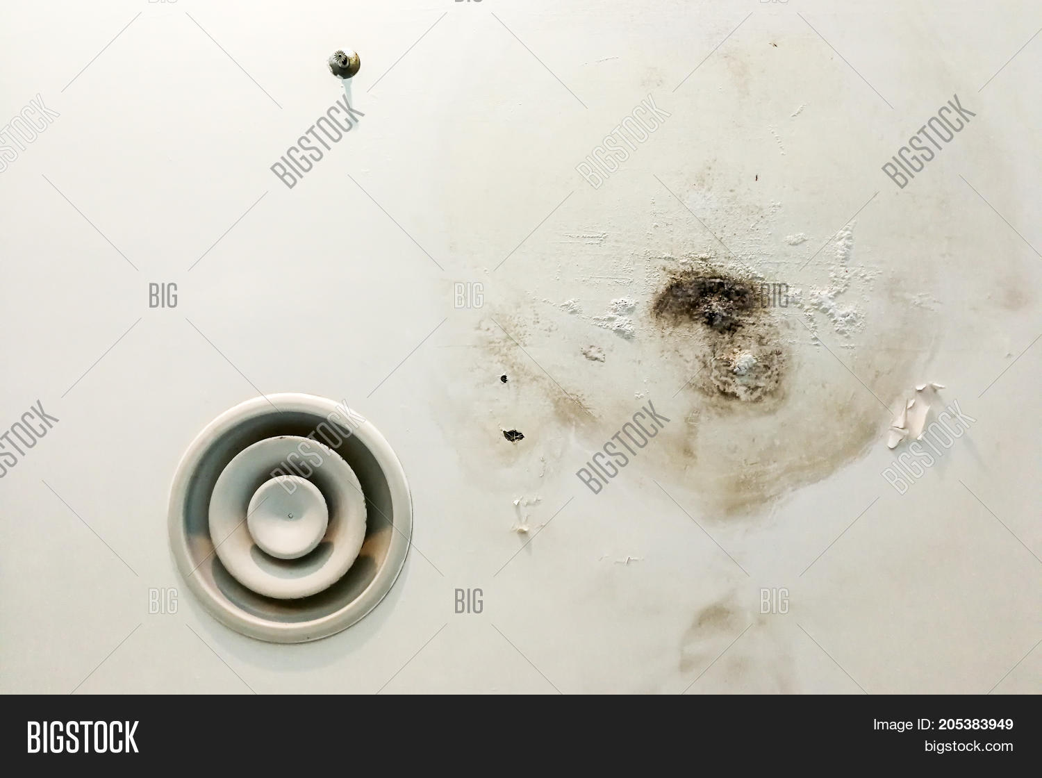 Unhygienic Ugly Moldy Image Photo Free Trial Bigstock