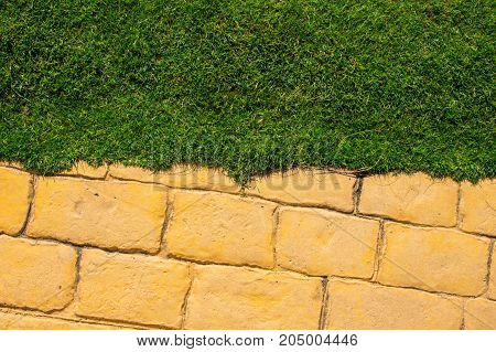 Lawn. Yellow brick road. Summer park background.