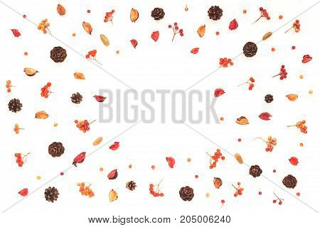 Autumn Frame. Viburnum Berries, Dried Branches, Pine Cone, Autumn Acorn, Flowers On White Background