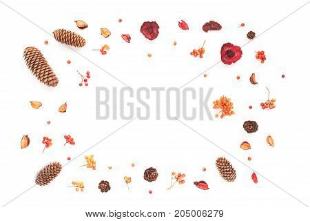 Autumn Frame. Viburnum Berries, Dried Branches, Pine Cone, Autumn Acorn, Flowers On White Background