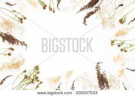 Autumn frame. Viburnum berries, dried branches, autumn acorn, pice cone, flowers on white background. Flat lay, top view