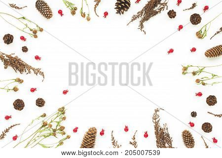 Autumn Frame. Viburnum Berries, Dried Branches, Autumn Acorn, Pice Cone, Flowers On White Background