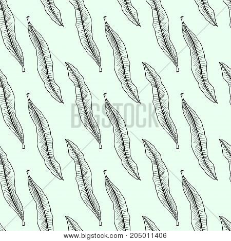Seamless Pattern With Hand Drawn Oleander Leaf