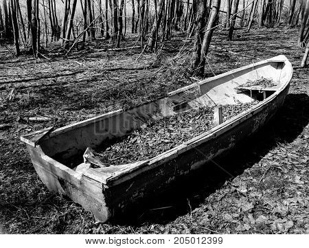 The old boat in the forest under the autumn foliage