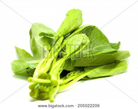 Chinese kale isolated on white background. (selective focus)