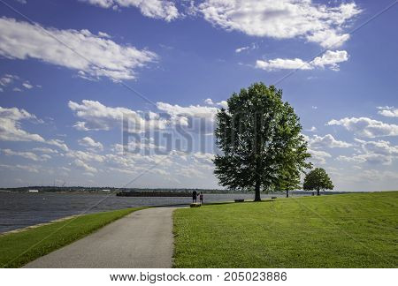 Big tree at Fort McHenry National Monument and Historic Shrine