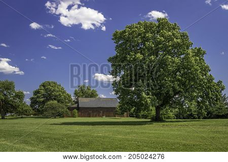 Big tree, barn house at Fort McHenry, Baltimore