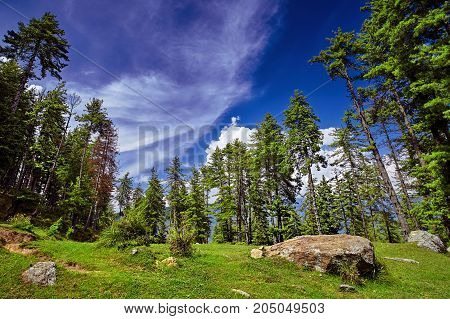 Beautiful mountain forest against blue sky background. Kullu valley. Naggar Himachal Pradesh. North India.