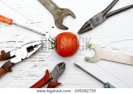 saying if it ain't broke don't fix it metaphor with whole tomato and tools