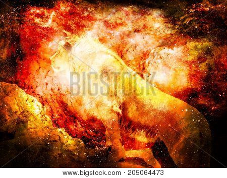 Lion in the cosmic space. Lion photos and graphic effect