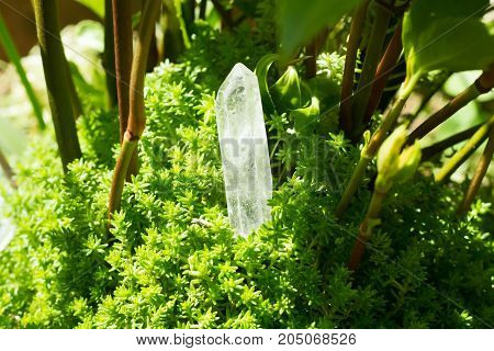 andara healing crystal on a green leaf .