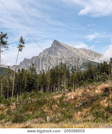Krivan peak from Ticha dolina valley near Podbanske resort in High Tatras mountains in Slovakia during nice summer day with blue sky and few clouds