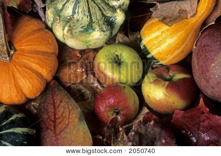 Pumpkins Apples And Leaves