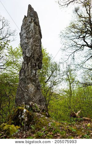 Majestic rocky pinnacle in an old deciduous grove