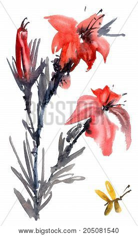 Watercolor and ink illustration of lily flower with batterfly. Sumi-e u-sin painting.