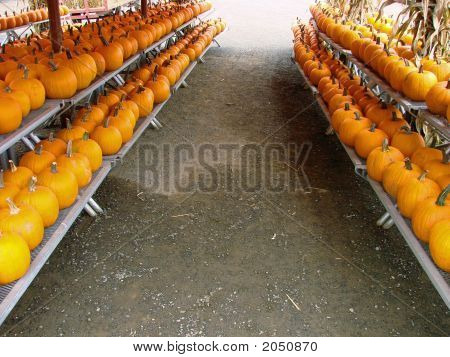 Farmer'S Market