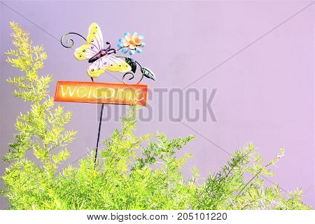 summer mood, butterfly background. green grass. flower meadow