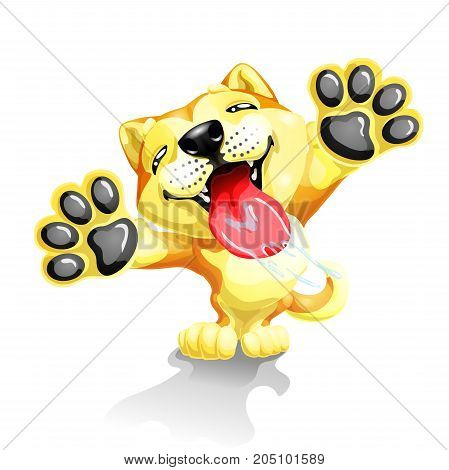 The lovely puppy Akita Inu licks glass standing on hinder legs. A yellow dog a symbol 2018 new years according to the Chinese calendar. A vector illustration separately on white.