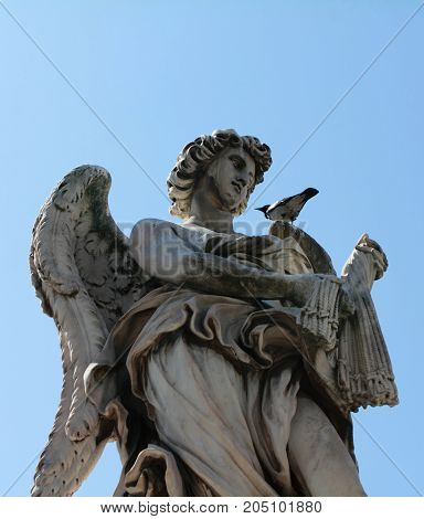 Angel with the Whips sculpture in Rome Italy with pigeon
resting on his shoulder. One of the angels at famous Ponte Sant' Angelo bridge. Baroque sculpture by Lazzaro Morelli.