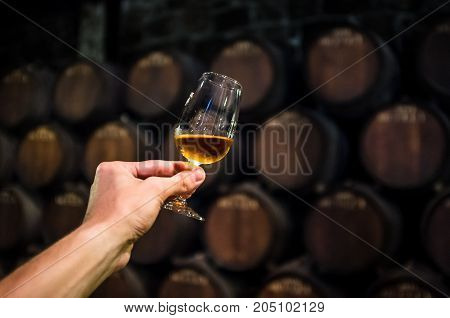 A glass of alcohol in a wine cellar with barrels, Man holding glass of port in cellar, Drink to health