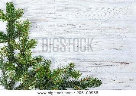 Christmas green pine fir spruce branch on wooden background.