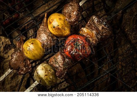 Dish On A Tree Bark