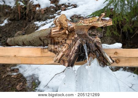 Holy spring gremyachiy Klyuch. Svyatogorye. Moscow region Sergiev Posad district village Vzglyadnevo