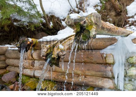 Holy spring gremyachiy Klyuch. Svyatogorye. Moscow region Sergiev Posad district village Vzglyadnevo