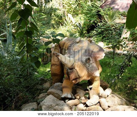 Kemer; Turkey-August 14; 2017: Monoclonius- Cretaceous /74 million years ago. In the Dinopark