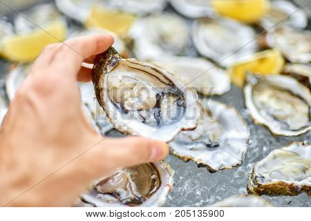 Open Oyster In A Male Hand, Against The Background Of Open Oyste