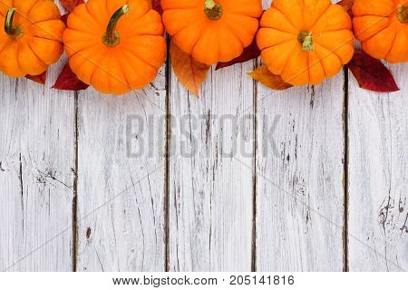Autumn Leaves And Pumpkin Top Border Over A Rustic White Wood Background
