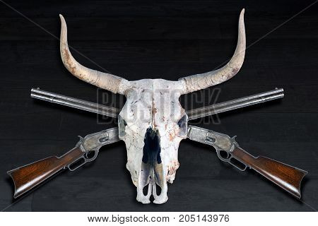 Antique cowboy lever action rifle and cow skulls.