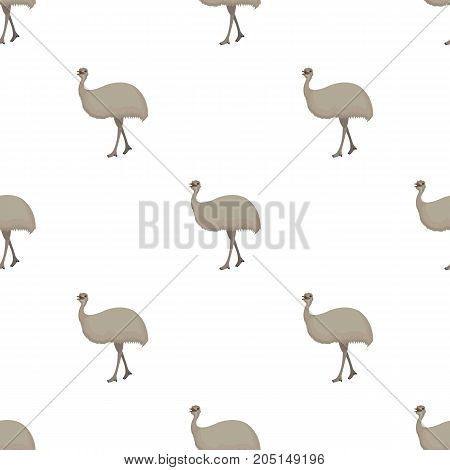 Bird, ostrich emu.African wild ostrich single icon in cartoon style vector symbol stock illustration .