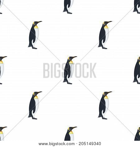Penguin, flightless sea bird. The Imperial Penguin single icon in cartoon style vector symbol stock illustration .