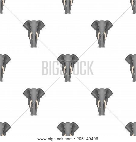 The elephant, the biggest wild animal. African elephant with tusks single icon in cartoon style vector symbol stock illustration .