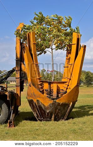 The mounted spade, jaws, and bucket are part of a tree removal machine removes and transplant young trees: Dropping tree and root system into the ground.