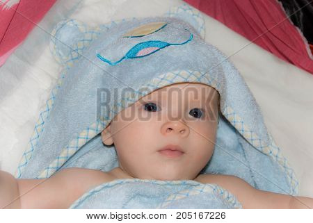 Newborn Baby boy after bath in a blue terry towel