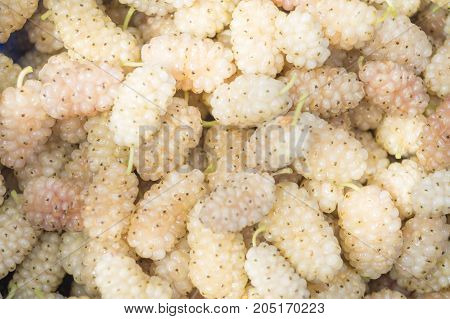 Sweet beige harvested mulberry as a background texture