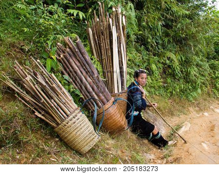 North Vietnamese Woman Rests With Full Baskets Of Sticks