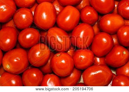 Group Of Fresh Tomatoes. Tomatoes Background. A Lot Of Fresh Tomatoes.  Summer Background With Many