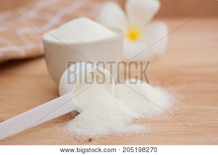 Collagen Protein Powder