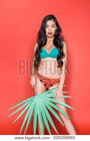 Woman In Swimsuit With Palm Leaf