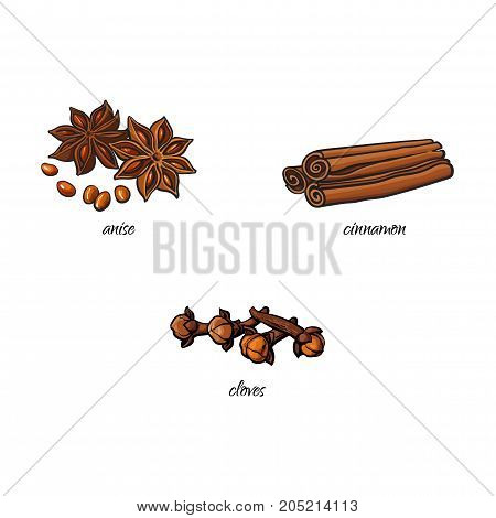 vector flat cartoon sketch hand drawn Spices, seasoning, flavorings and kitchen herbs set. Star anise with seeds, dry cinnamon, canella sticks and cloves. Isolated illustration on a white background
