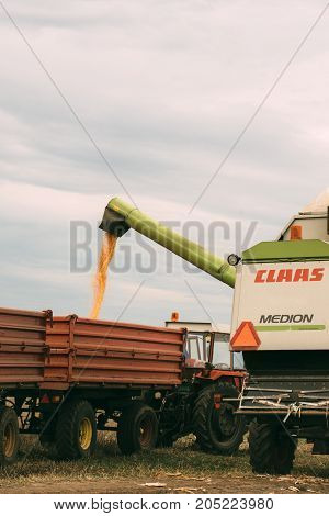 ZRENJANIN SERBIA - SEPTEMBER 19 2017: Combine harvester auger unloading harvested corn into tractor trailer. Lower maize crop yield expected this year in Vojvodina region due to drought during summer.