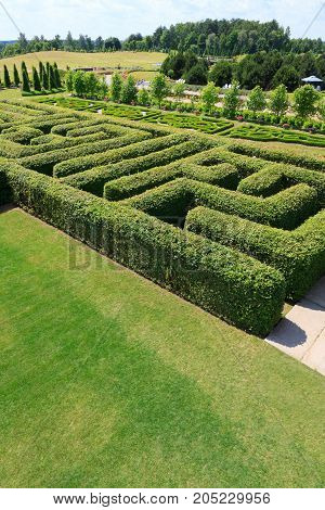 Green bushes maze view from above for garden.