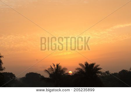 Rising sun painting sky with orange color