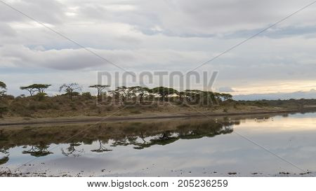 A reflection in calm water of river in Serengeti