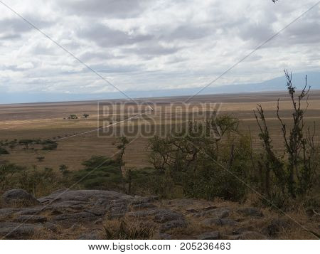 A road to infinity in the grassland of Serengeti that goes to Ngorongoro crater